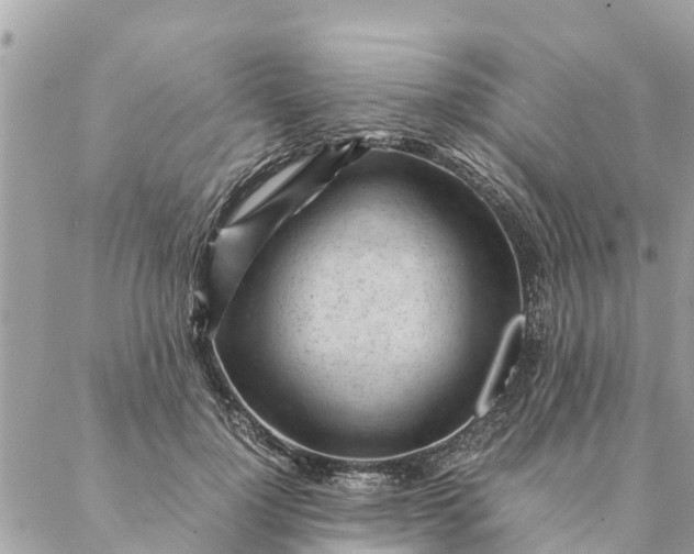 X0000087390748200705042010