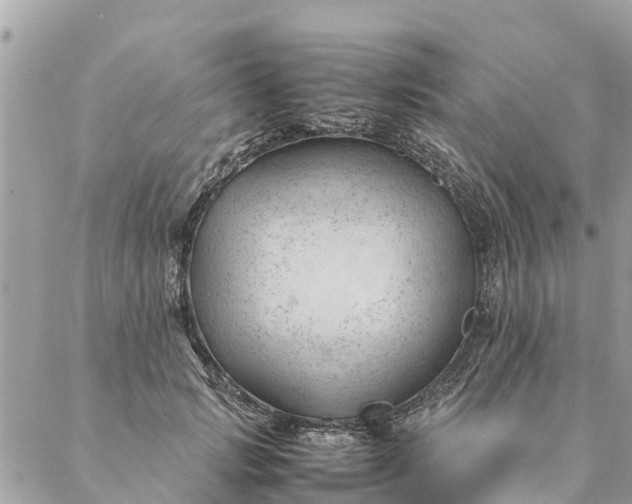 X0000087390749200705042010