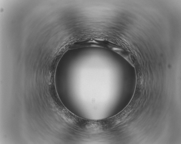 X0000087390750200705042010