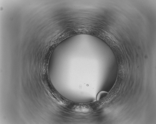 X0000087390751200705042010