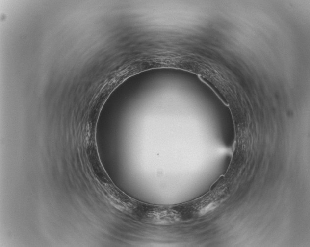 X0000087390752200705042010