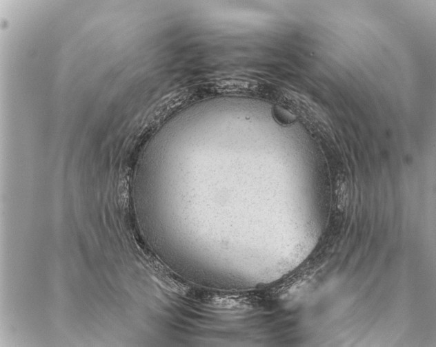 X0000087390753200705042010