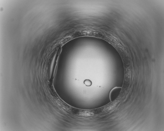 X0000087390754200705042010