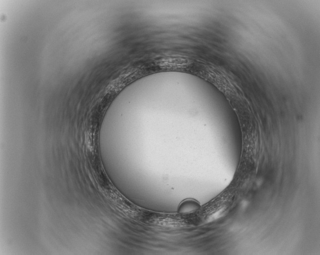 X0000087390755200705042010