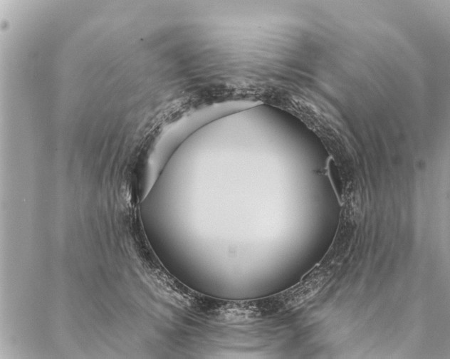 X0000087390756200705042010