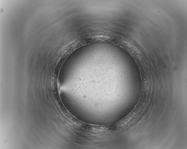 X0000087390757200705042010