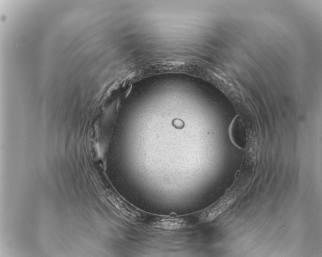 X0000087390758200705042010