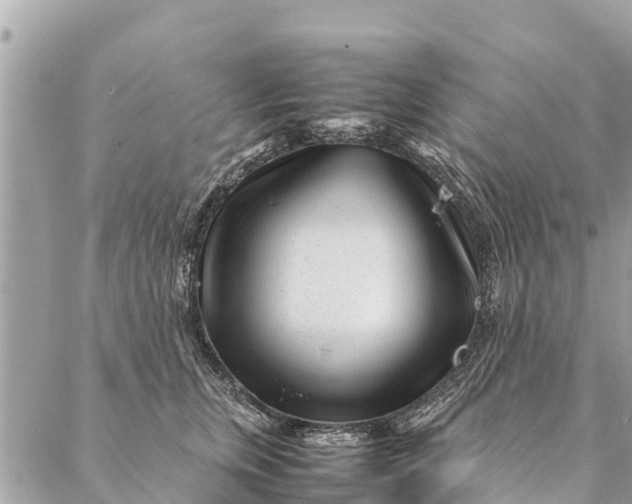 X0000087390759200705042010