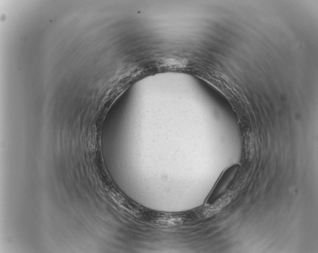 X0000087390760200705042010