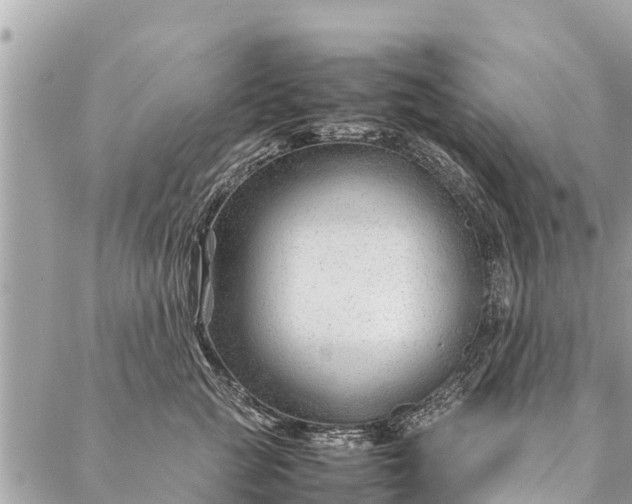 X0000087390761200705042010