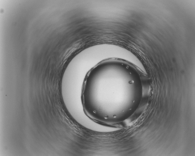 X0000087390762200705042010