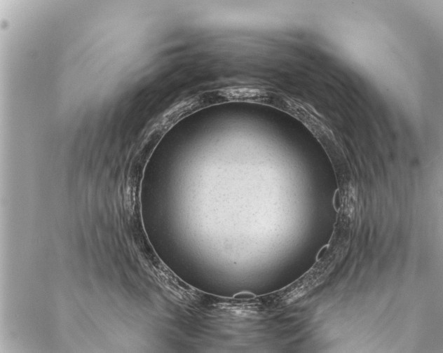 X0000087390763200705042010