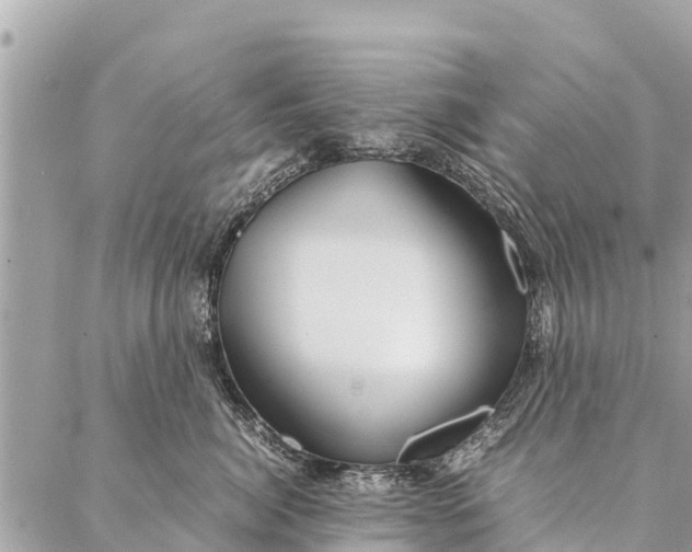 X0000087390764200705042010