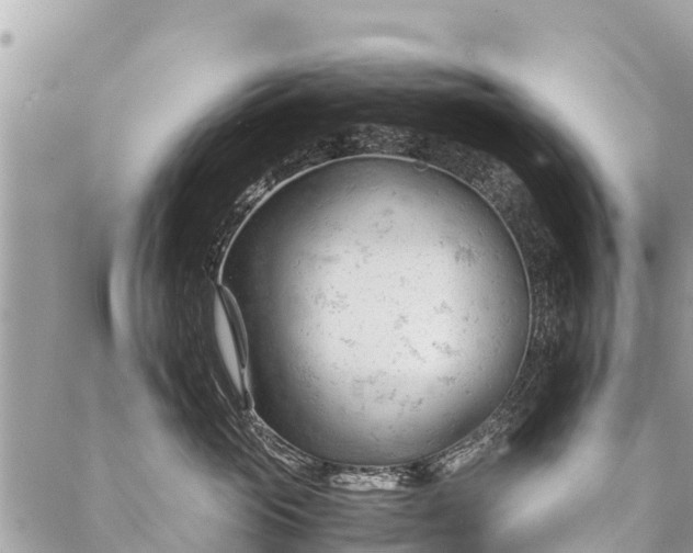 X0000087390765200705042010