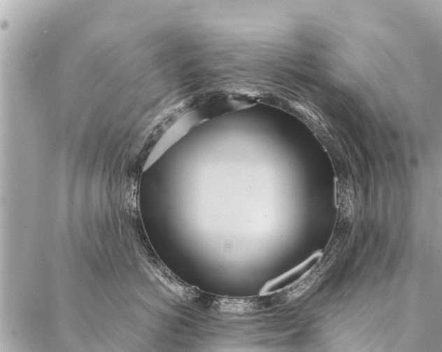 X0000087390766200705042010