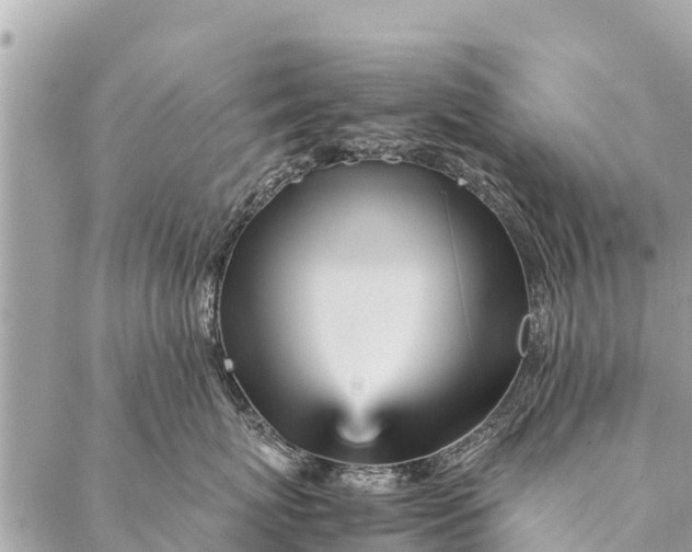 X0000087390767200705042010