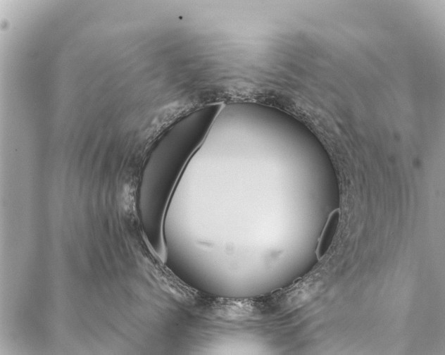 X0000087390768200705042010