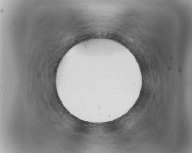 X0000087390769200705042009