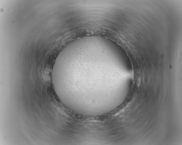 X0000087390770200705042009