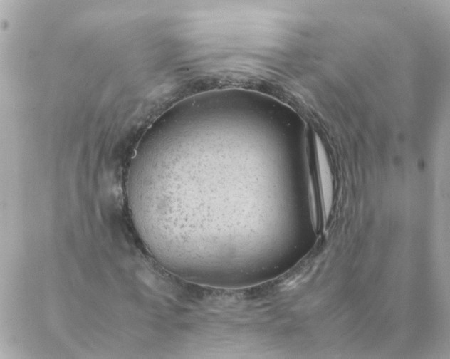 X0000087390771200705042009