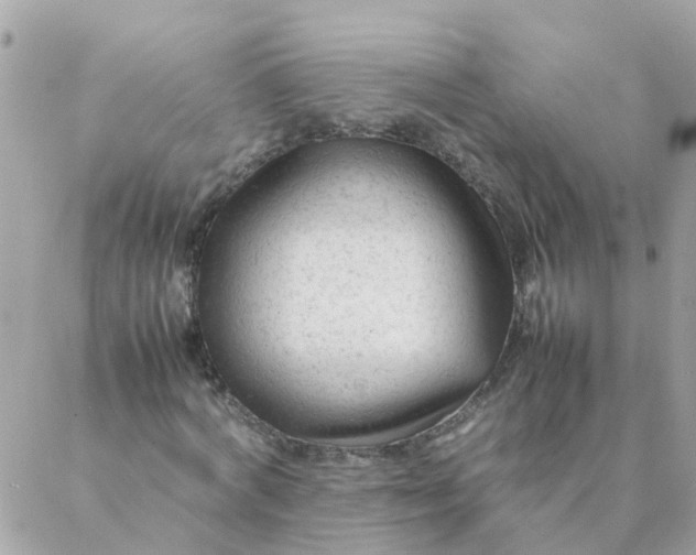 X0000087390772200705042009