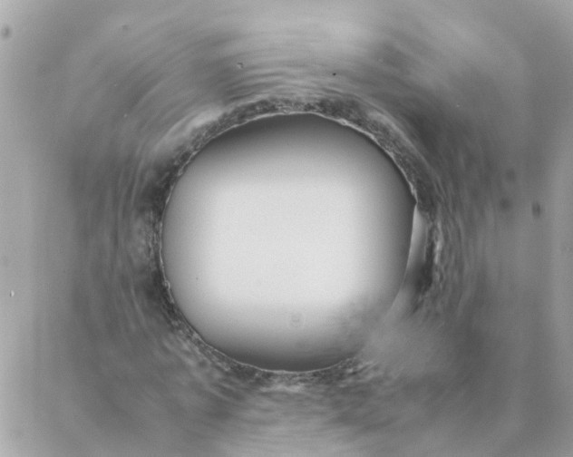 X0000087390773200705042009