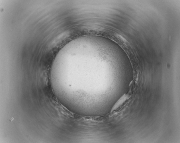 X0000087390774200705042009