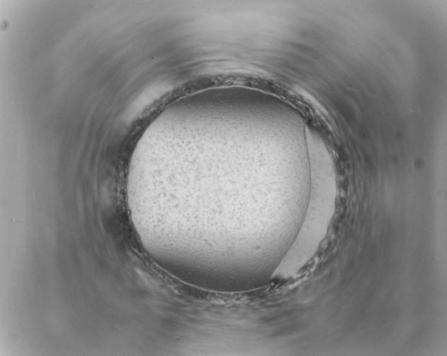 X0000087390775200705042009