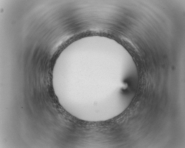 X0000087390776200705042009