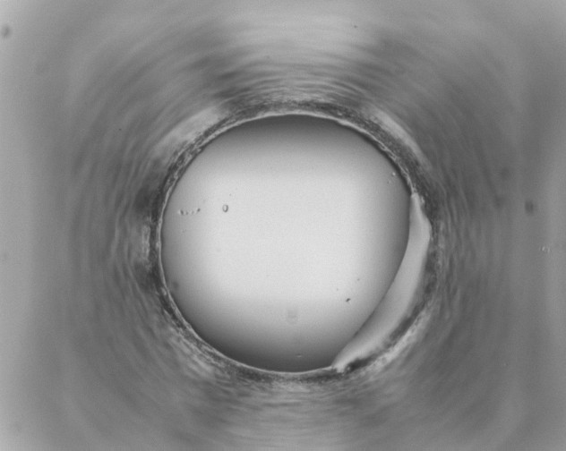 X0000087390777200705042009