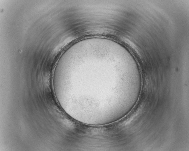 X0000087390778200705042009