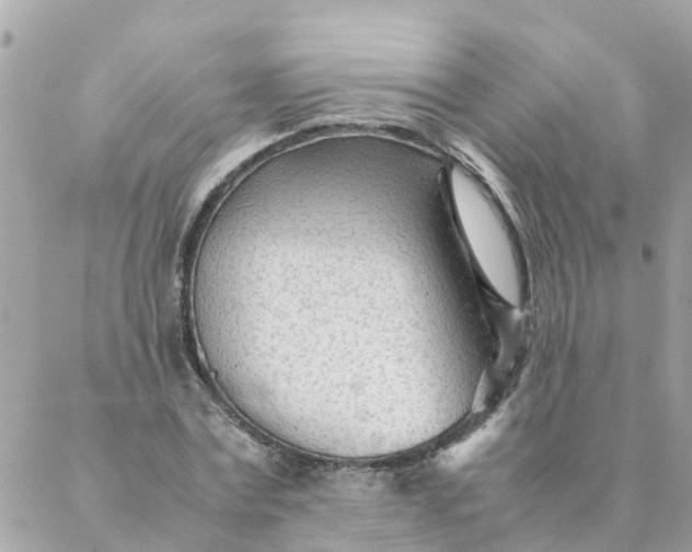 X0000087390779200705042009