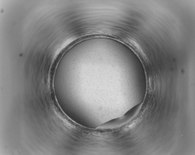 X0000087390780200705042009