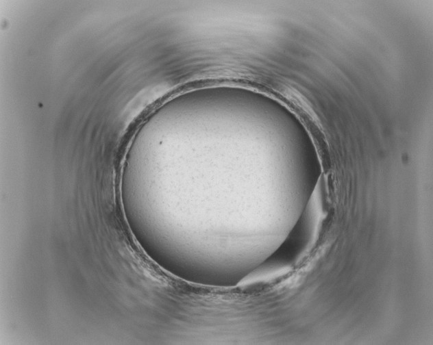 X0000087390781200705042009