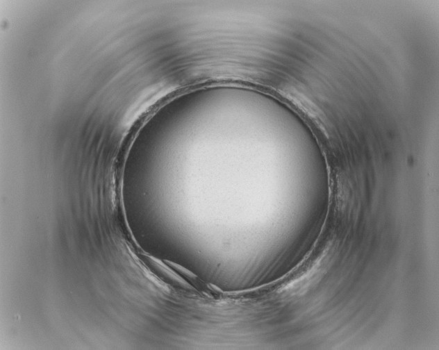 X0000087390782200705042009