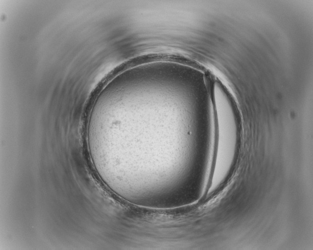 X0000087390783200705042009