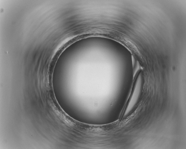 X0000087390784200705042009