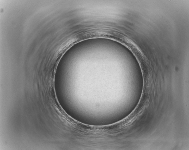 X0000087390785200705042009