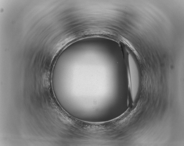 X0000087390786200705042009