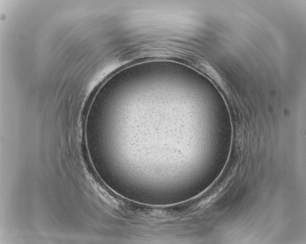 X0000087390787200705042009