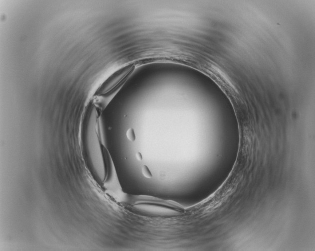 X0000087390788200705042009