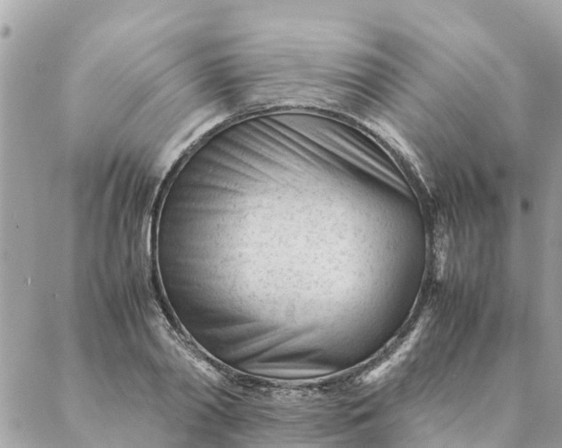 X0000087390790200705042009