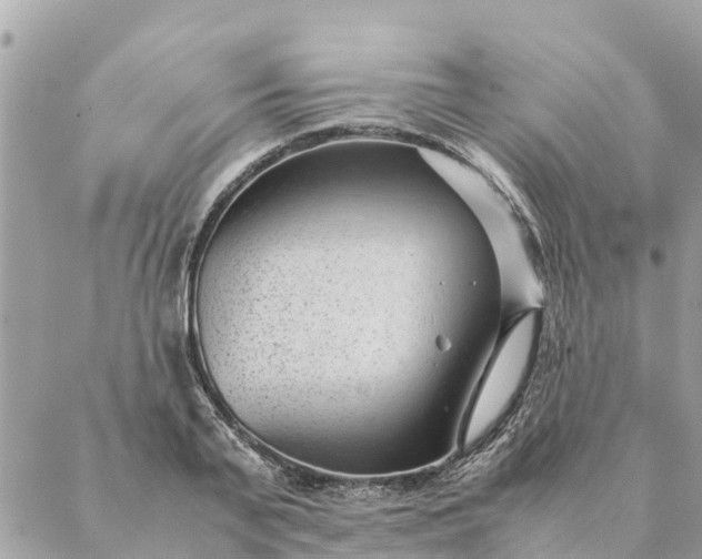 X0000087390791200705042009