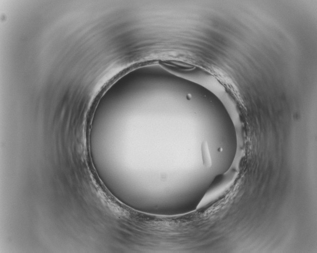 X0000087390792200705042009