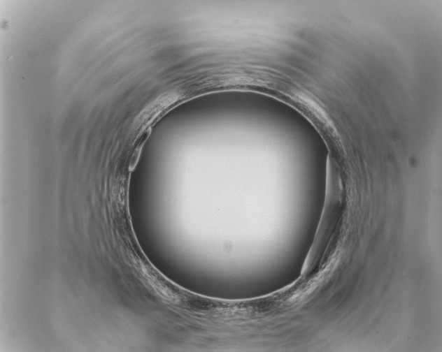 X0000087390793200705042009