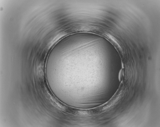 X0000087390794200705042009