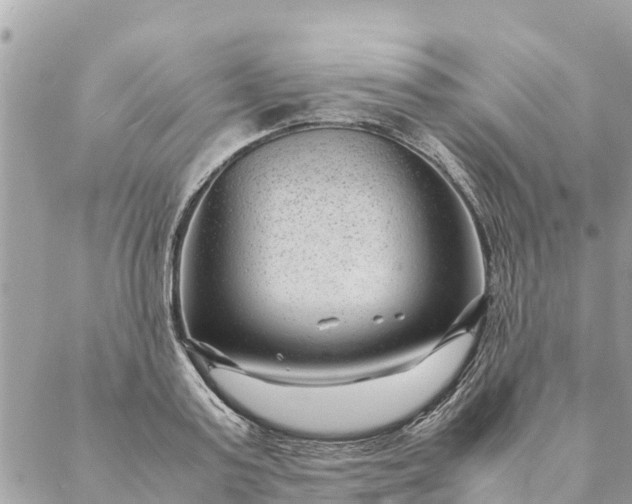 X0000087390795200705042009