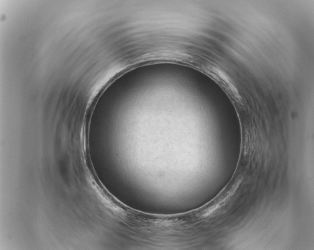 X0000087390796200705042009