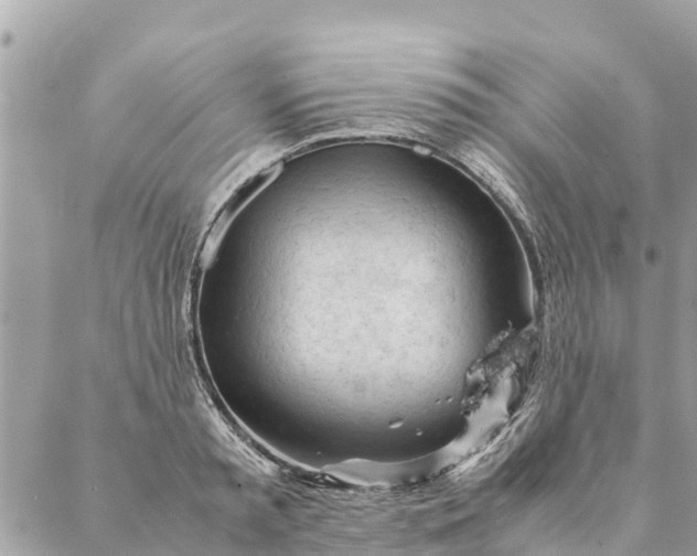 X0000087390797200705042009