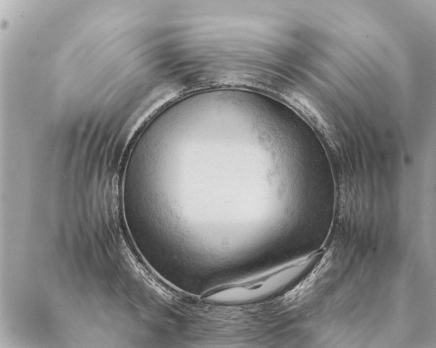 X0000087390798200705042009